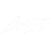 Arafat Hossain Shifat | Cyber Security Specialist